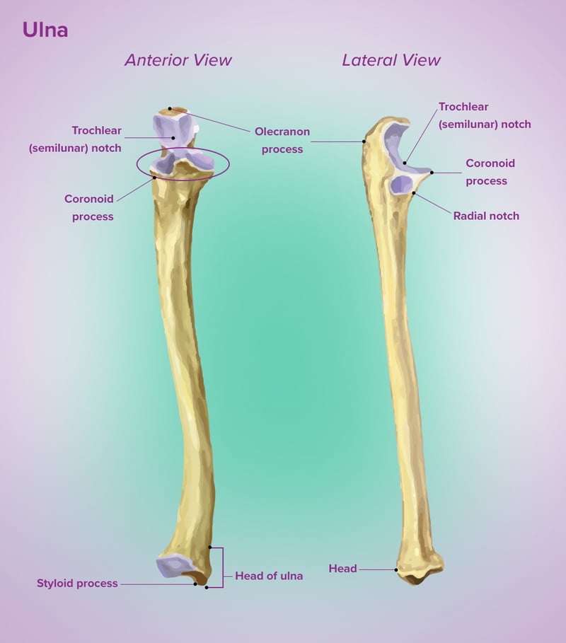 towne's view for styloid process